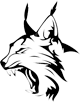 Lince plus icon